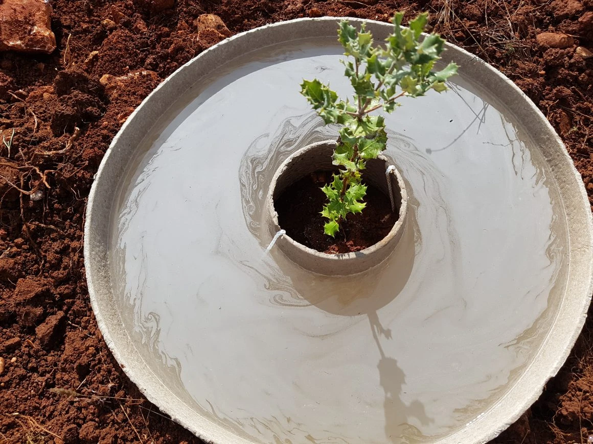 Le Cocoon, méthode innovante de reforestation en zone méditerranéenne (The life Nieblas)