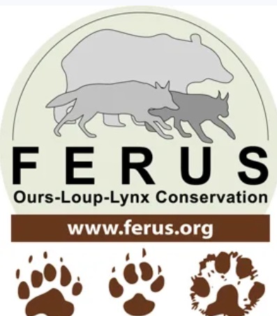 Protection des ours, loups, lynx et accompagnement des éleveurs (Ferus)
