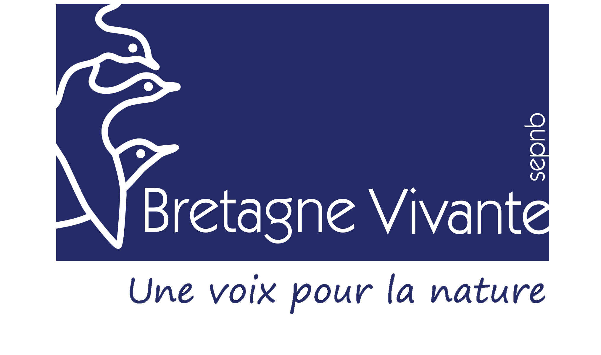 GUIDE POUR UNE RESTAURATION ET UNE GESTION ÉCOLOGIQUES DES LAVOIRS ET FONTAINES EN BRETAGNE