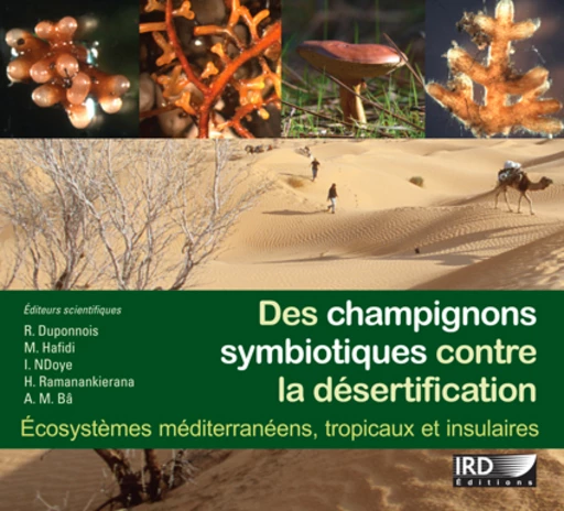 Publication : Des champignons symbiotiques contre la désertification
