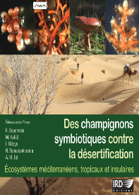 Publication : Des champignons symbiotiques contre la désertification