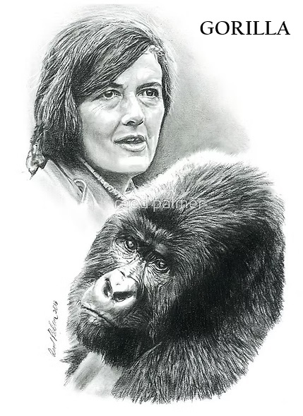 Association Française pour la Protection des Gorilles et autres Primates