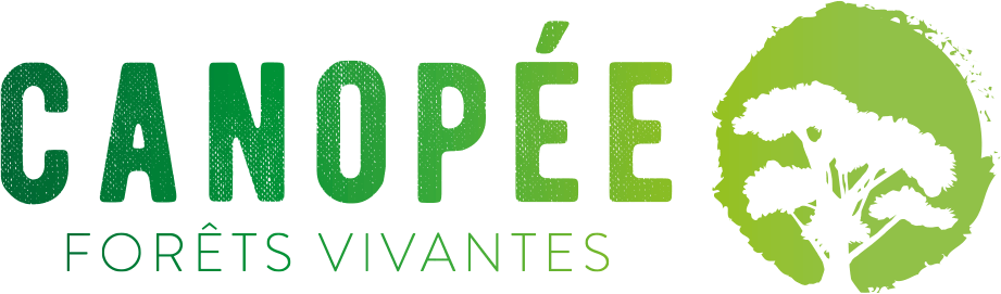 Faire changer les lois et les pratiques des entreprises pour protéger les forêts en France et dans le monde.