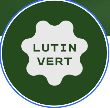 Permettre l’inclusion de personnes éloignées de l’emploi en leur proposant de reprendre pied dans le monde du travail au sein d’un atelier de réemploi des jouets.