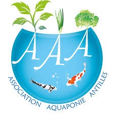 Se réapproprier un espace urbain inexploité ou un toit d’immeuble pour y installer un écosystème en circuit fermé