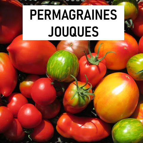 Jardins en permaculture ainsi que des plantes et des semences libres