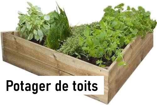 Conseils pour installer un jardin sur un toit