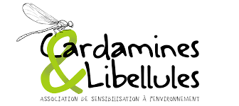 Sensibilisation à l&rsquo;Environnement à Bignan