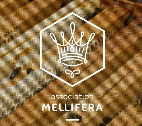 Promouvoir les techniques apicoles nécessaires à la conservation et au développement des abeilles