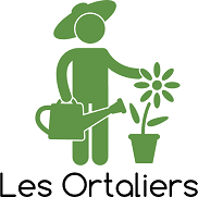 Création et animation de jardins partagés pour  promouvoir les initiatives citoyennes contribuant à un développement durable