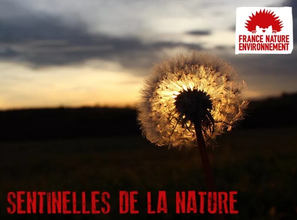 Carte interactive permettant à chacun de signaler des atteintes ou initiatives favorables à l’environnement.