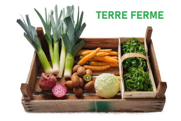 Panier légumes bio sur abonnement