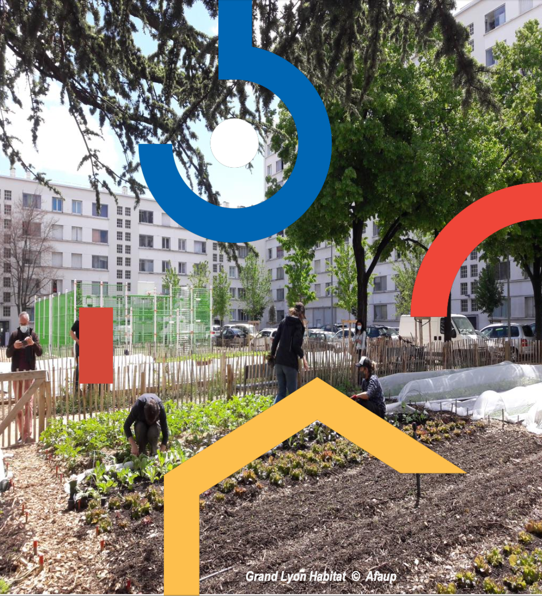 Guide pratique à l&rsquo;attention des organismes HLM : L&rsquo;agriculture urbaine dans le secteur HLM : un atout pour des lieux de vie partagés, attractifs et durables