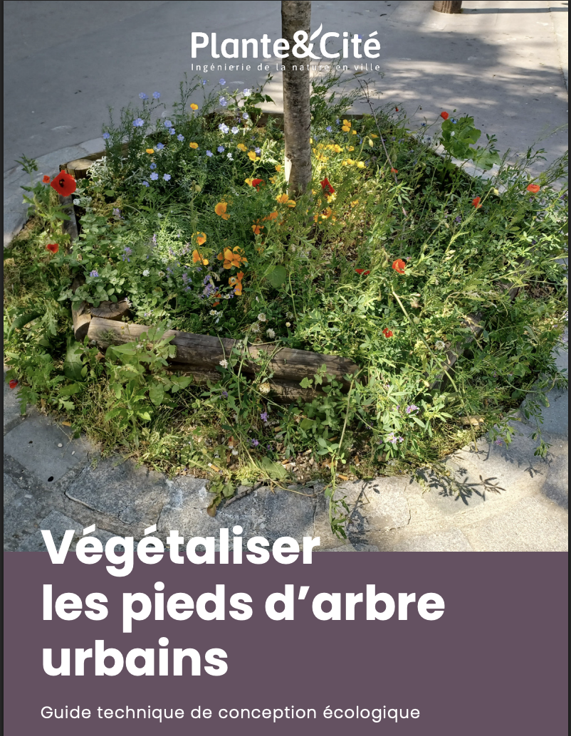 Guide technique de conception écologique : végétaliser les pieds d&rsquo;arbre urbains