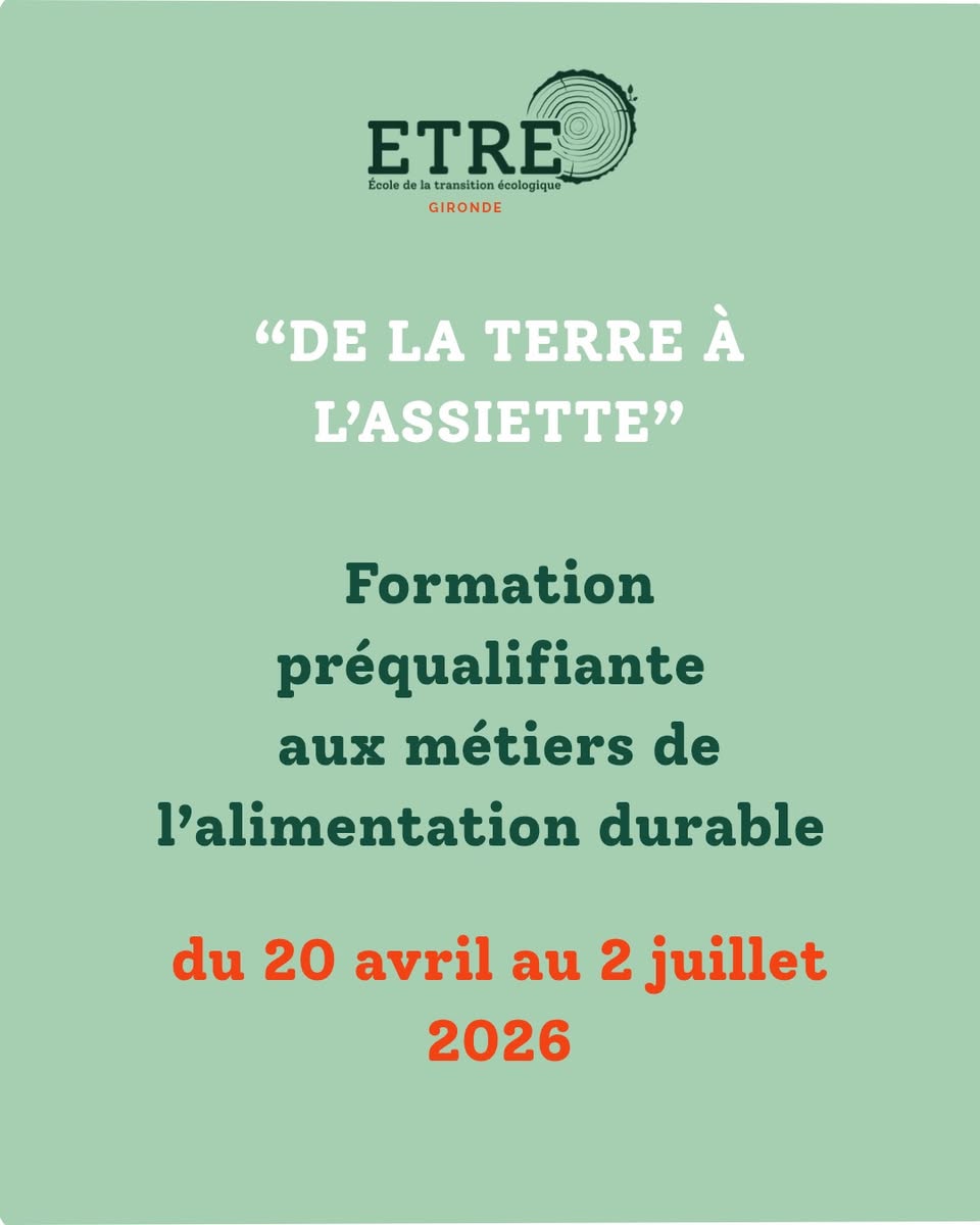 Cursos gratuitos sobre profesiones relacionadas con la transición ecológica para jóvenes de entre 16 y 25 años