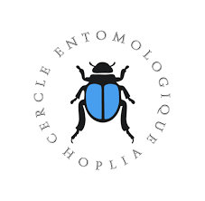 Connaître, étudier et  valoriser les insectes