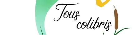Acompañar la transición ecológica en nuestro estilo de vida