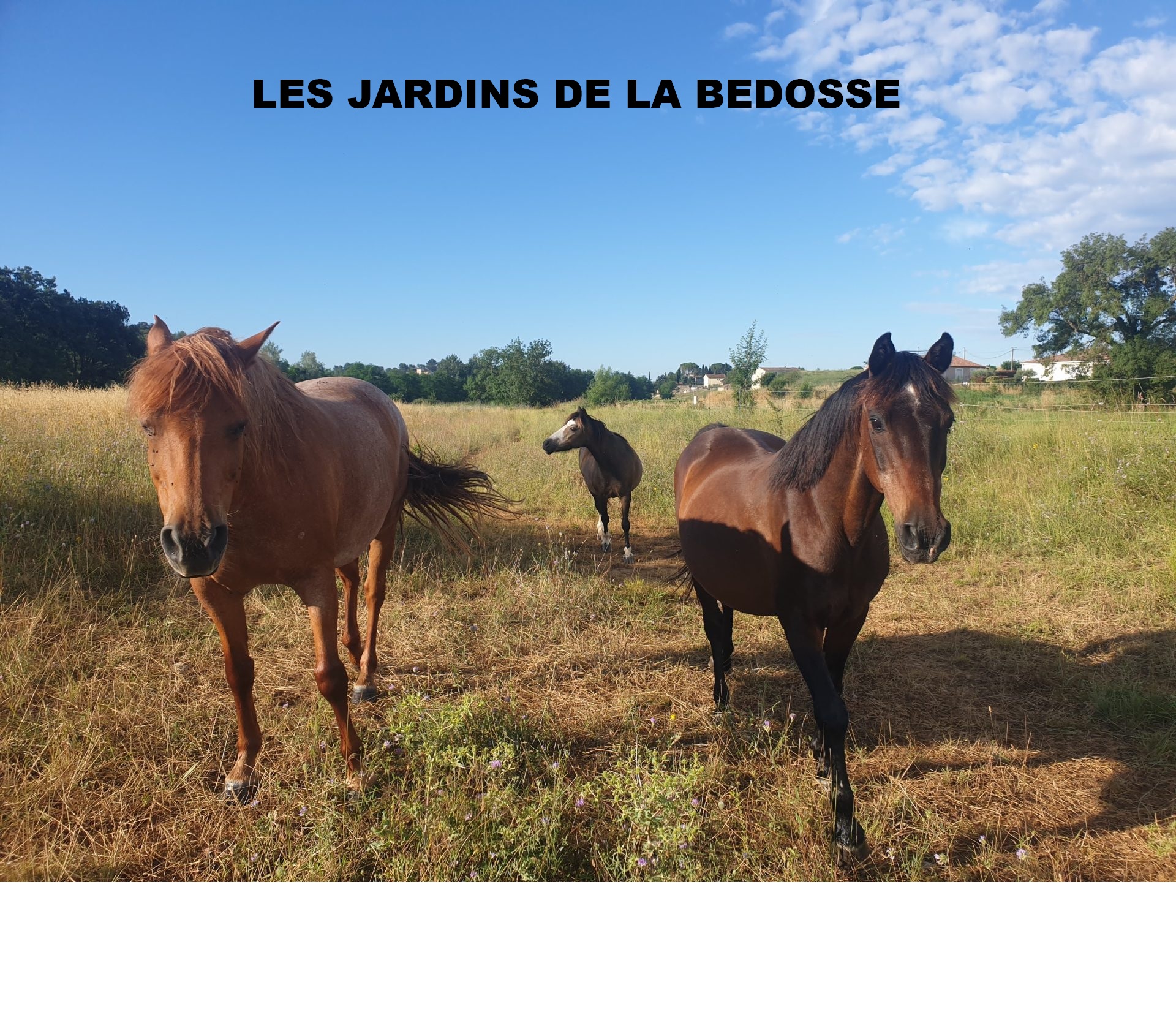 Développement d&rsquo;activités pédagogiques, d&rsquo;accueil, de transmission de savoirs et d&rsquo;éducation à l&rsquo;environnement et au développement durable